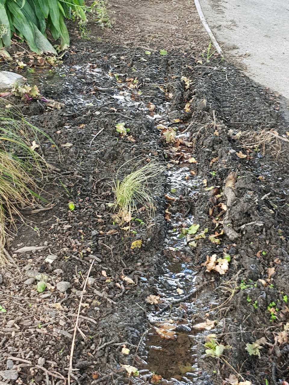 The photograph attached to this wastewater/stormwater report