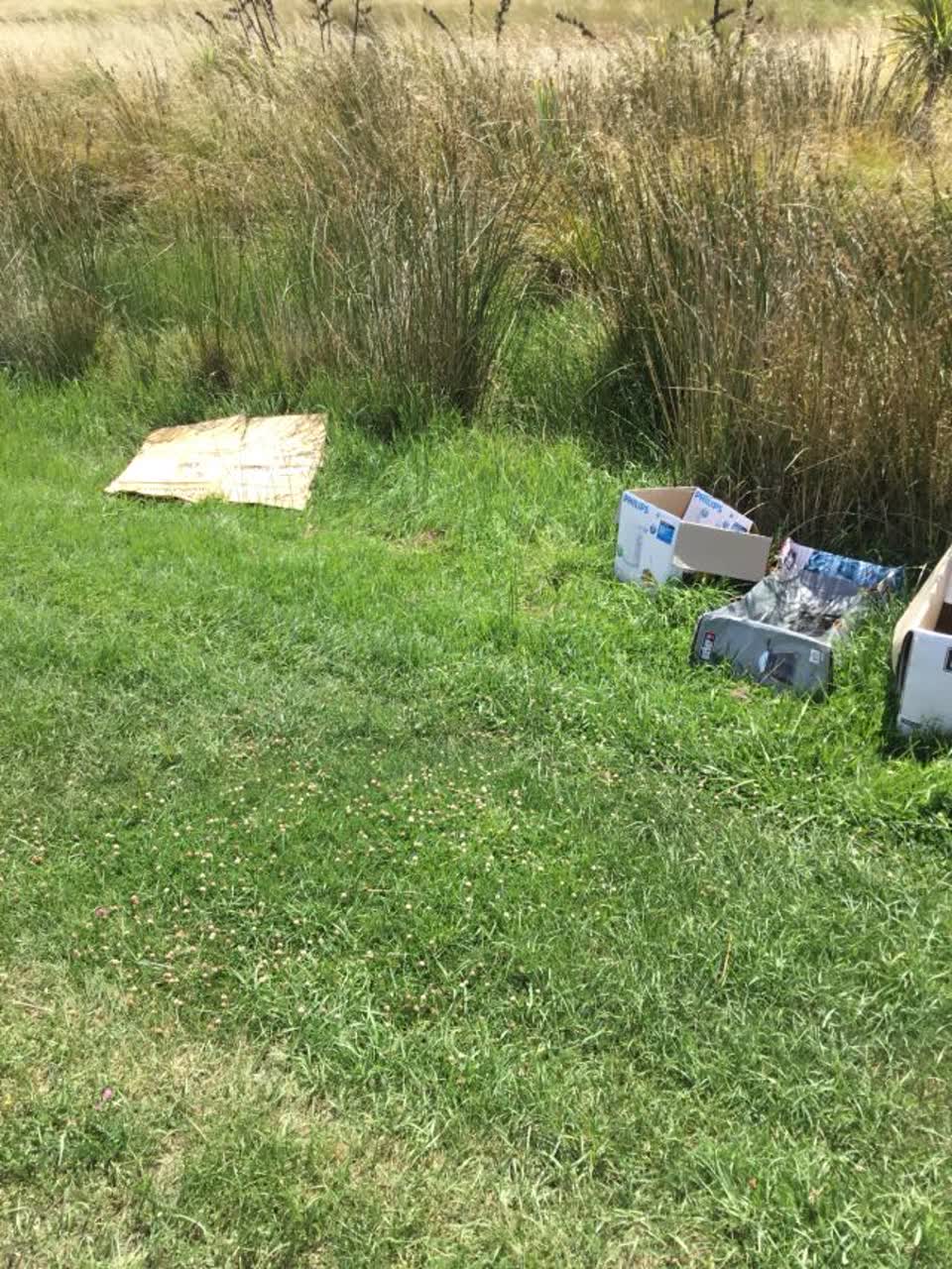 The photograph attached to this rubbish/recycling report