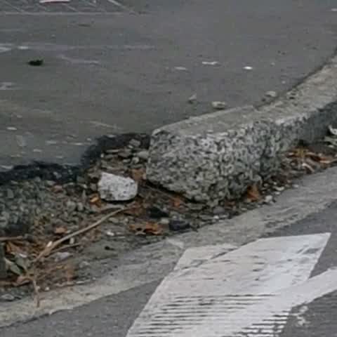 Roading/Streets, a report photo