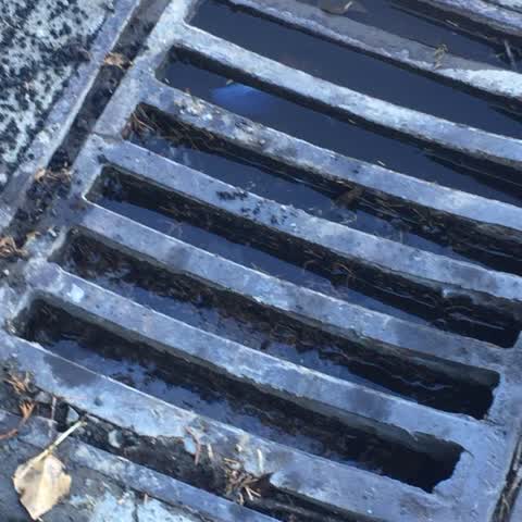 Wastewater/Stormwater, a report photo