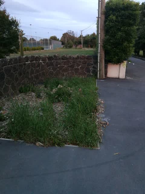 Parks, a report photo