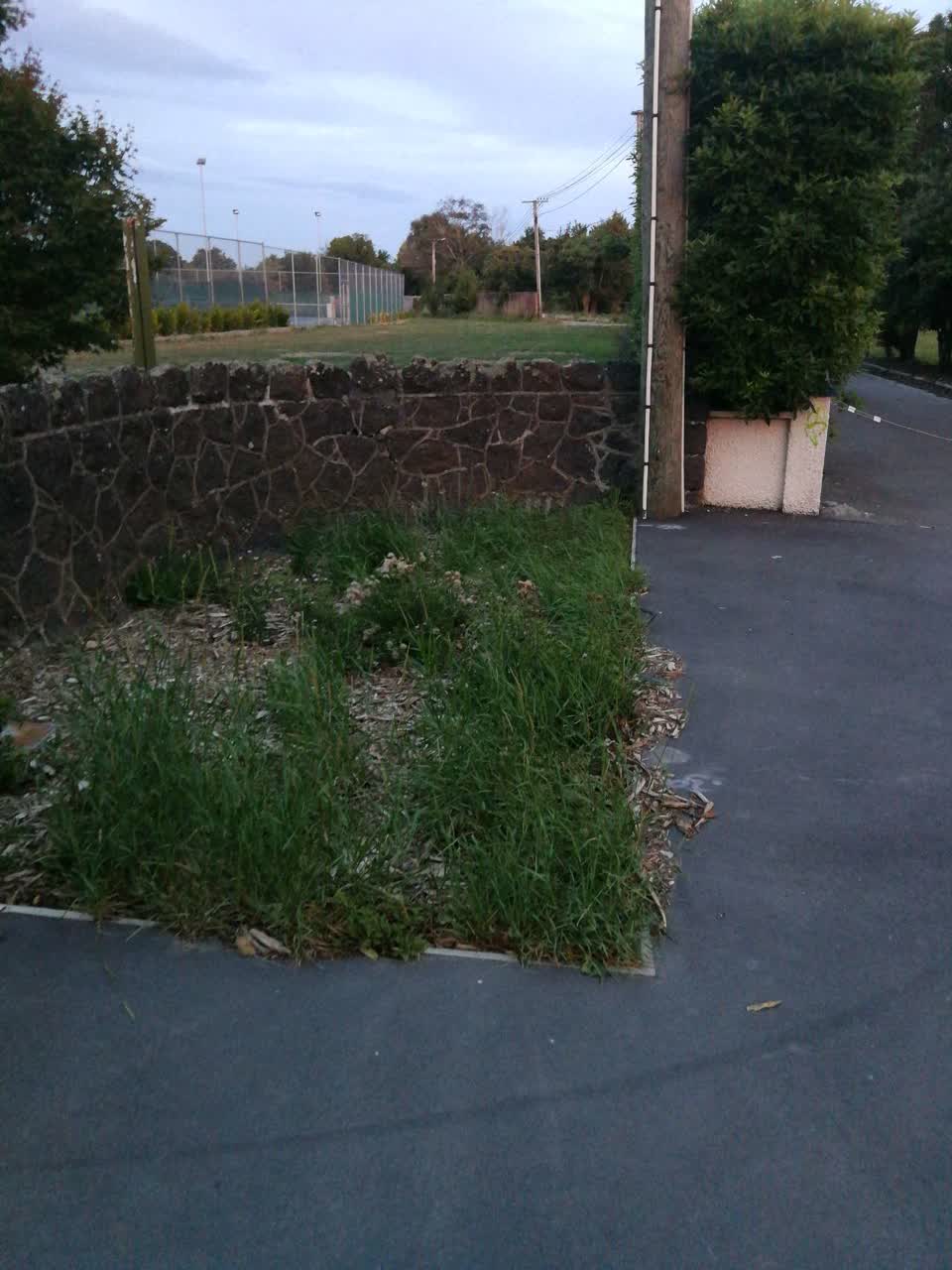 The photograph attached to this parks report