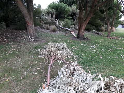 Parks, a report photo