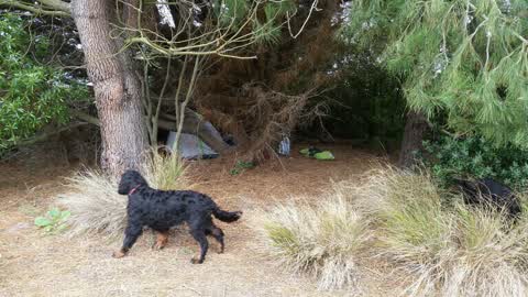 Parks, a report photo