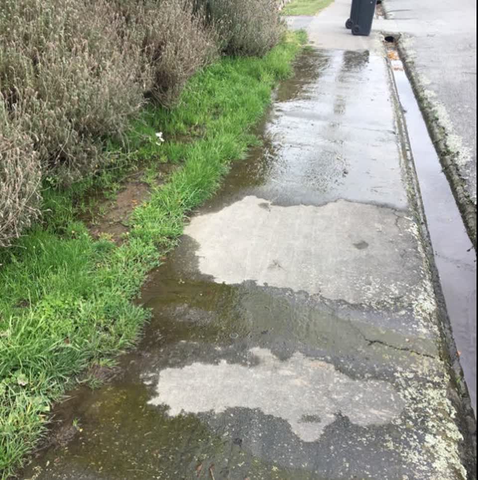 The photograph attached to this water supply report