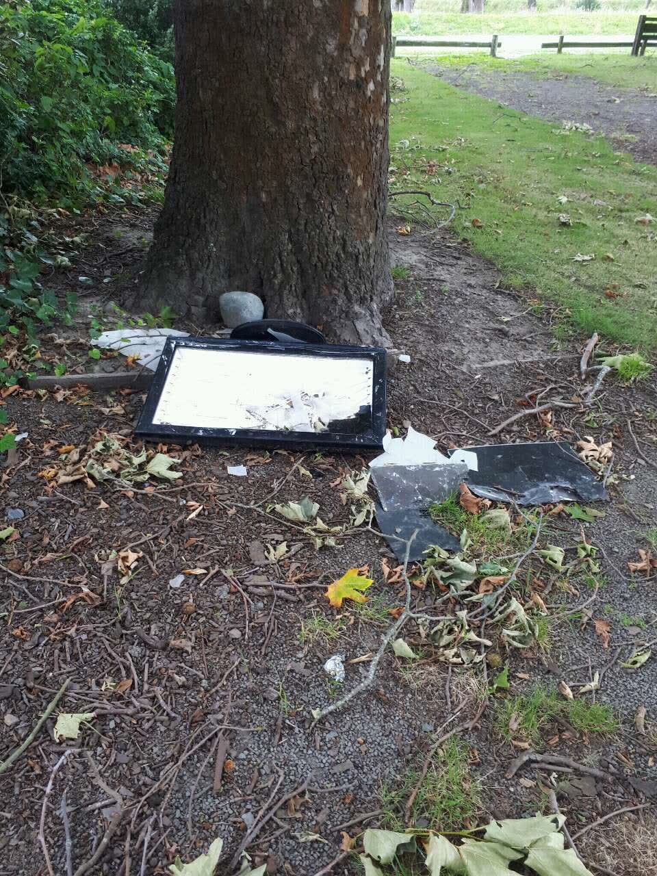 The photograph attached to this rubbish/recycling report