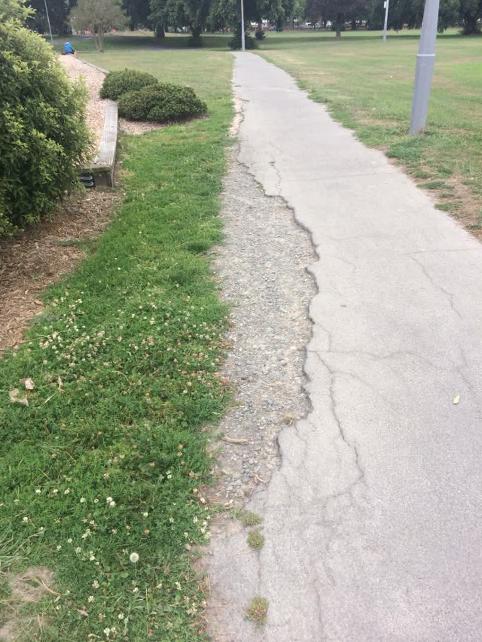 The photograph attached to this parks report