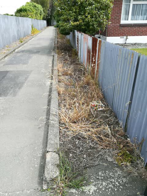 Rubbish/Recycling — a report photo