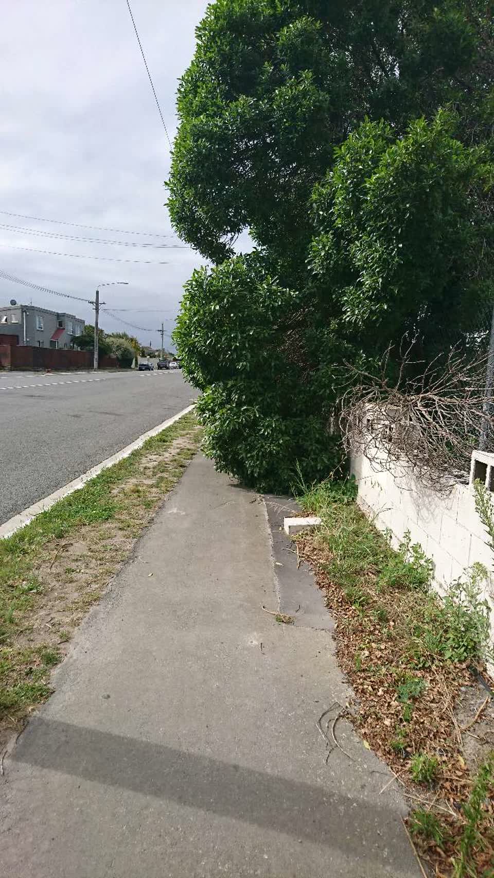 The photograph attached to this roading/streets report
