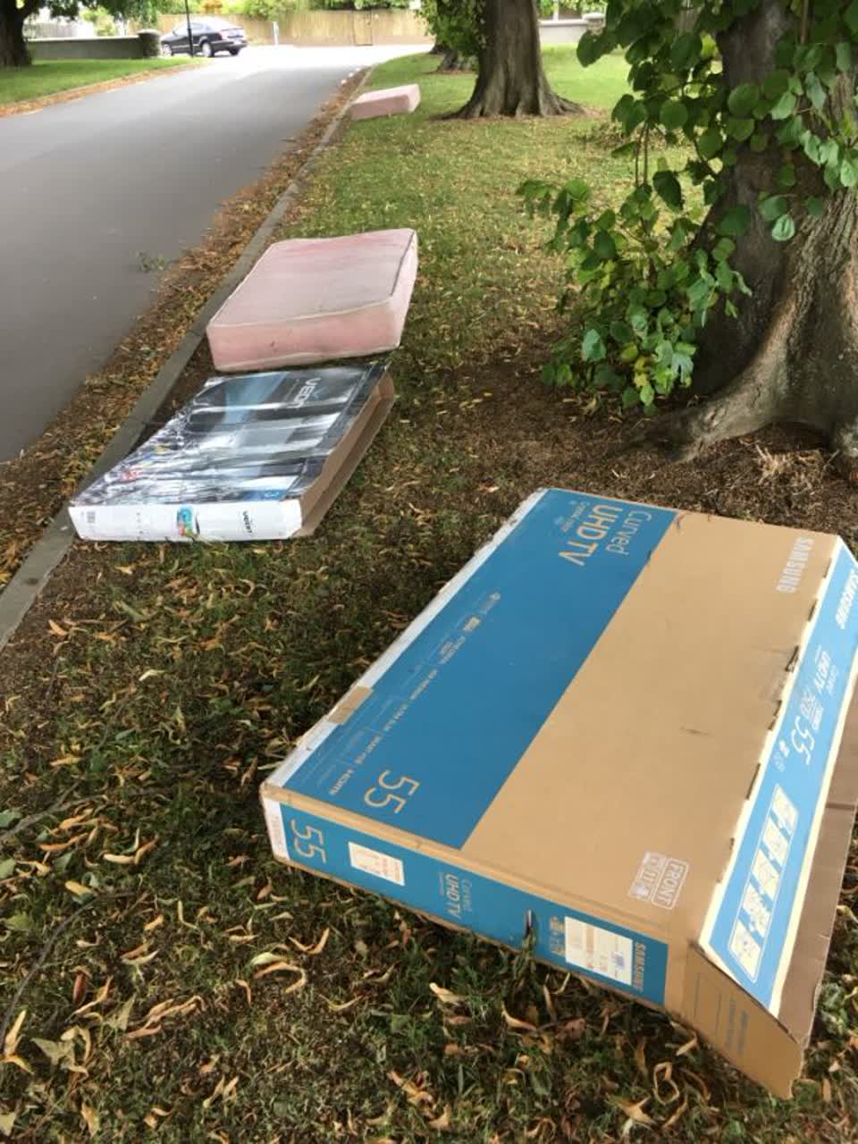 The photograph attached to this rubbish/recycling report