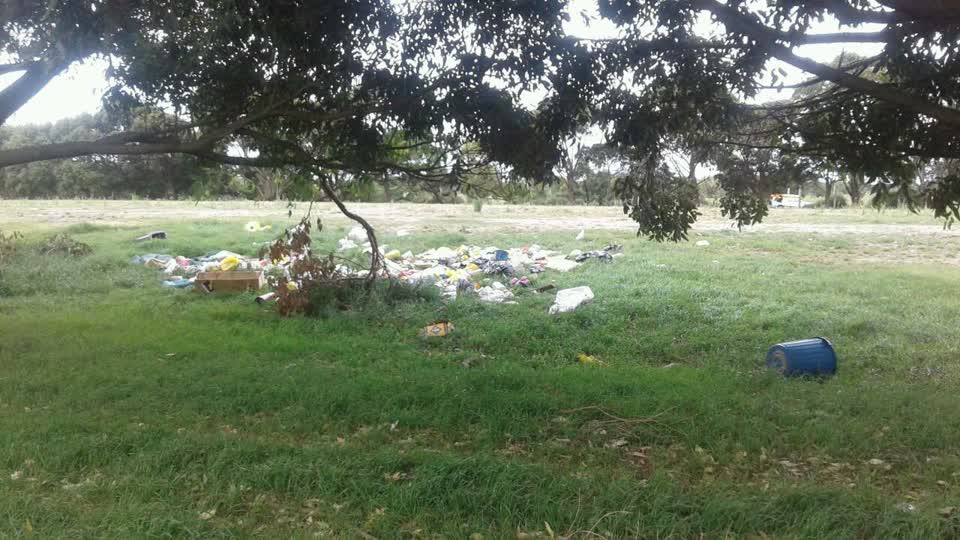 The photograph attached to this rubbish/recycling report