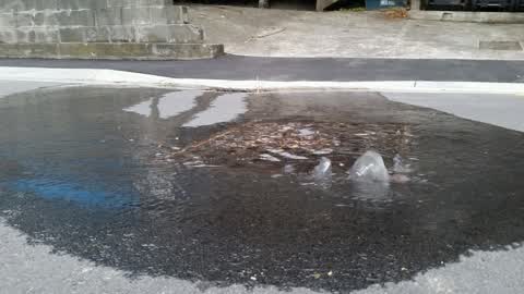 Wastewater/Stormwater, a report photo