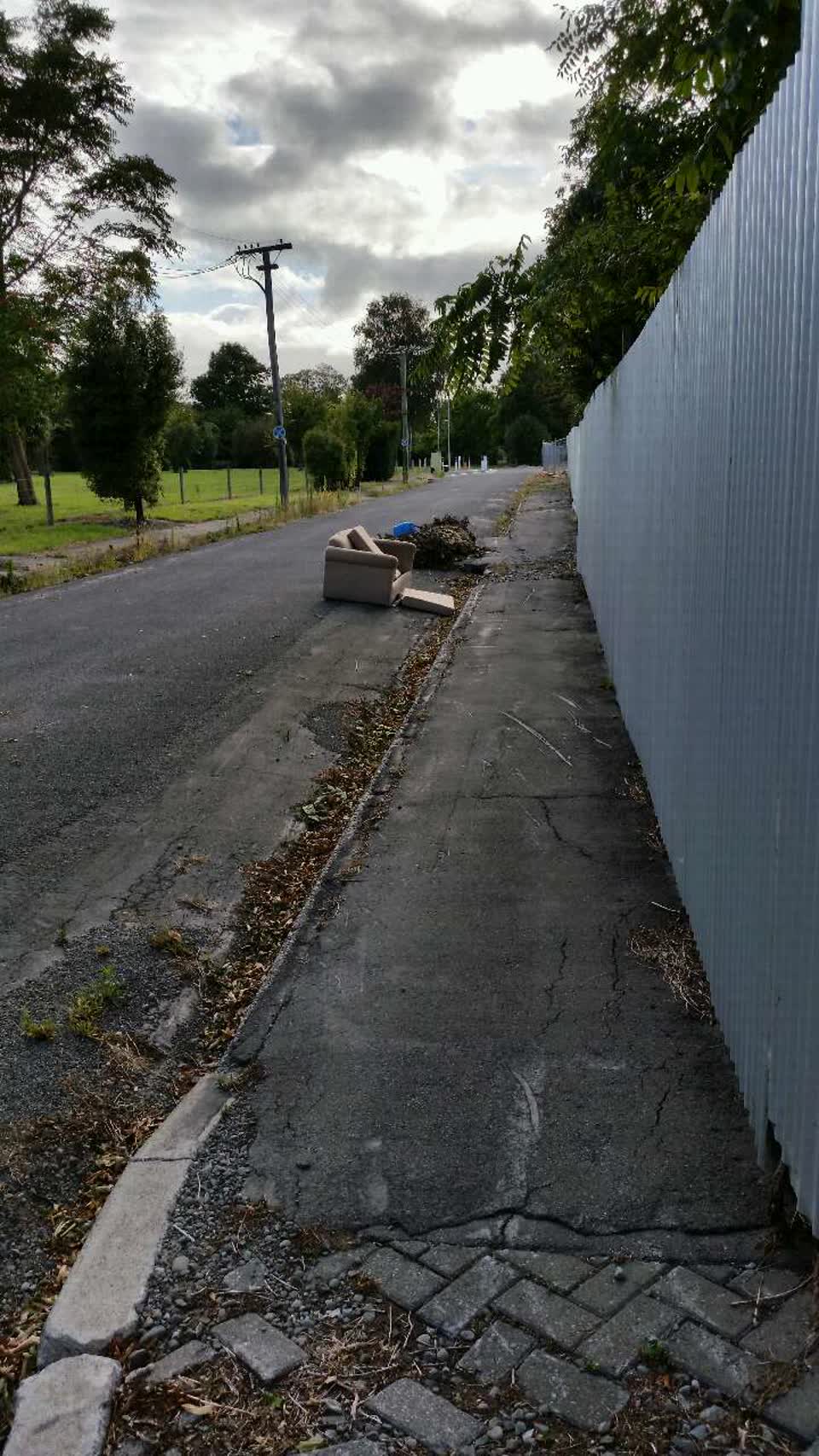 The photograph attached to this roading/streets report