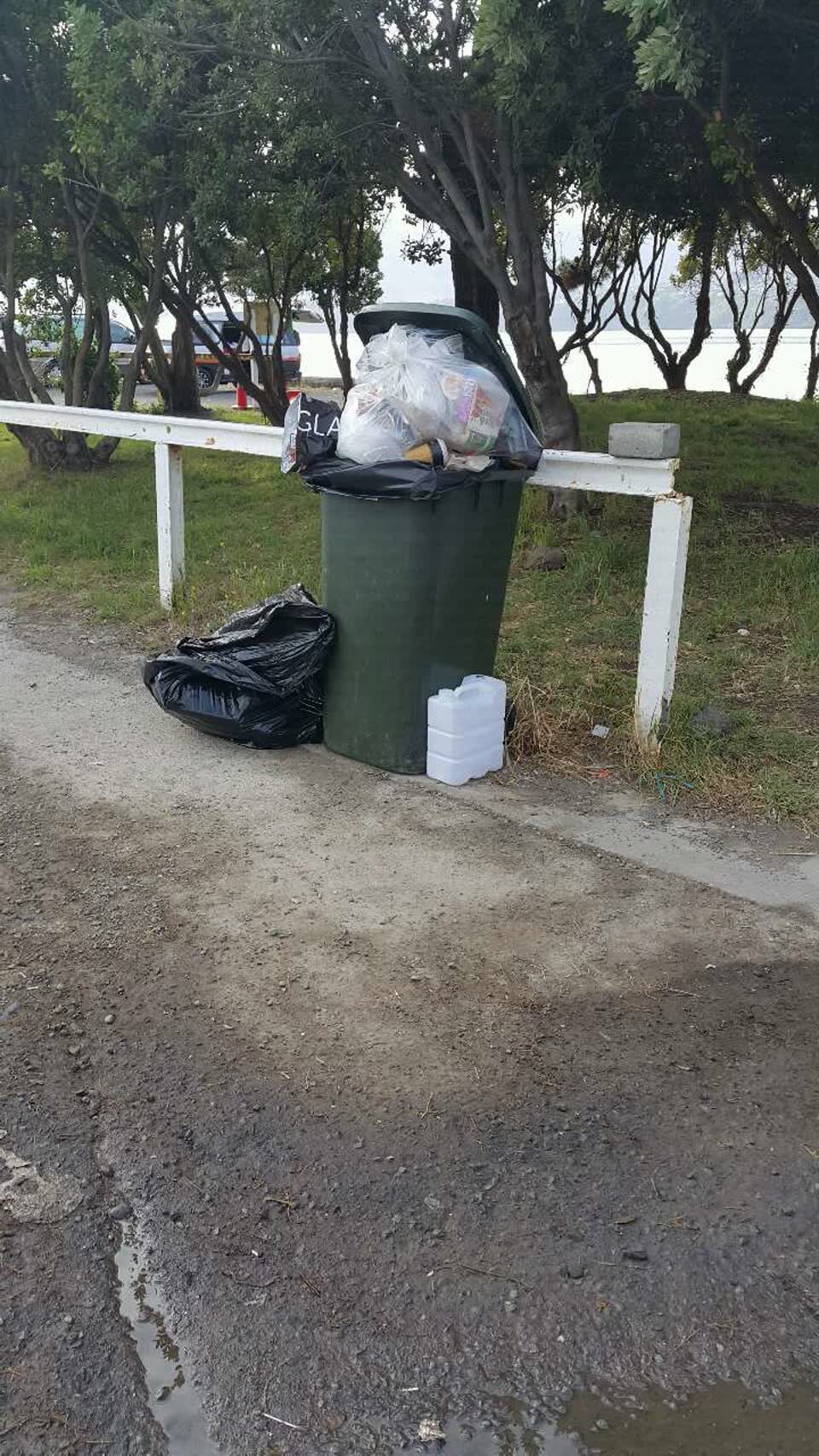 The photograph attached to this rubbish/recycling report