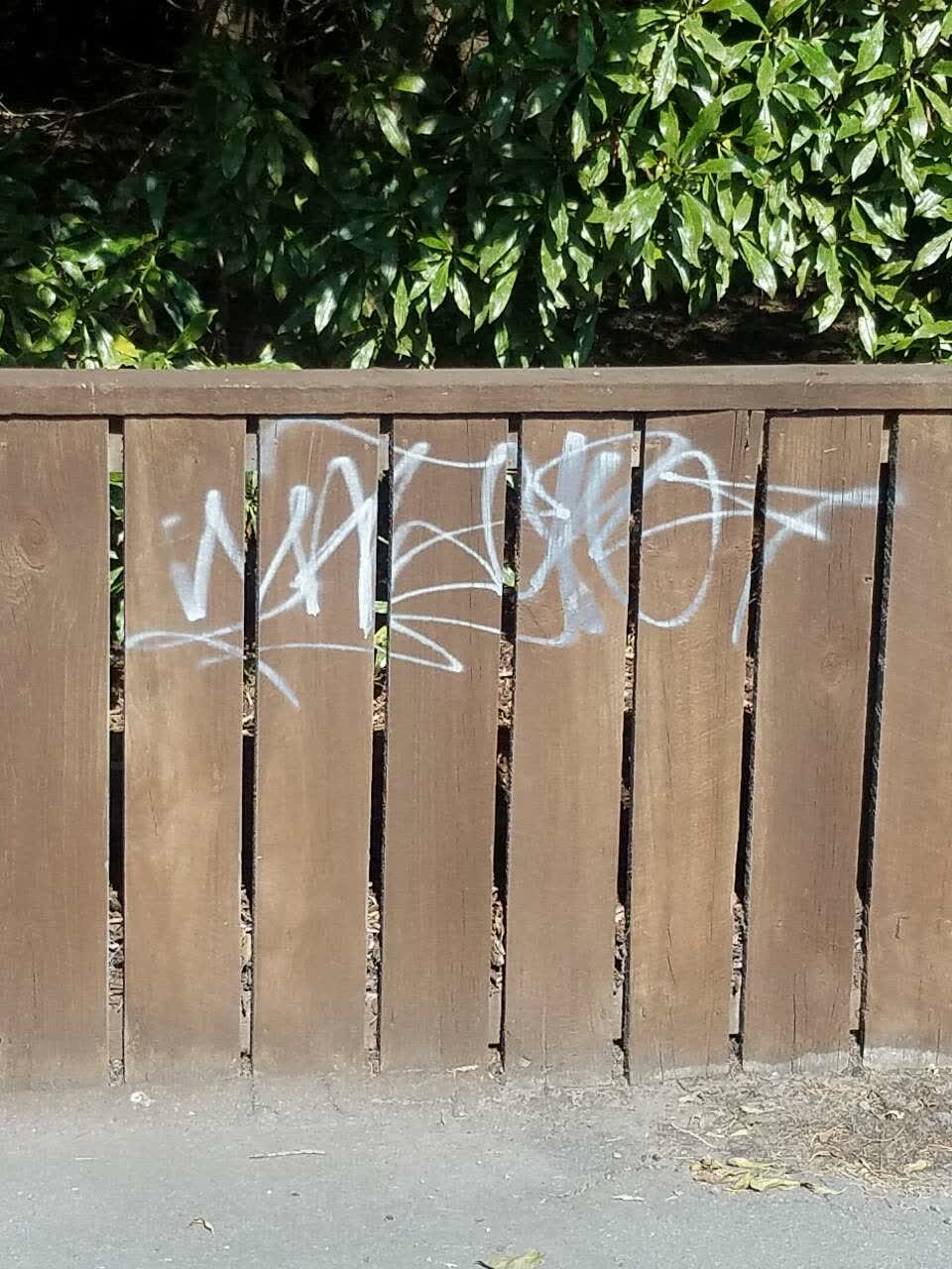 The photograph attached to this graffiti report