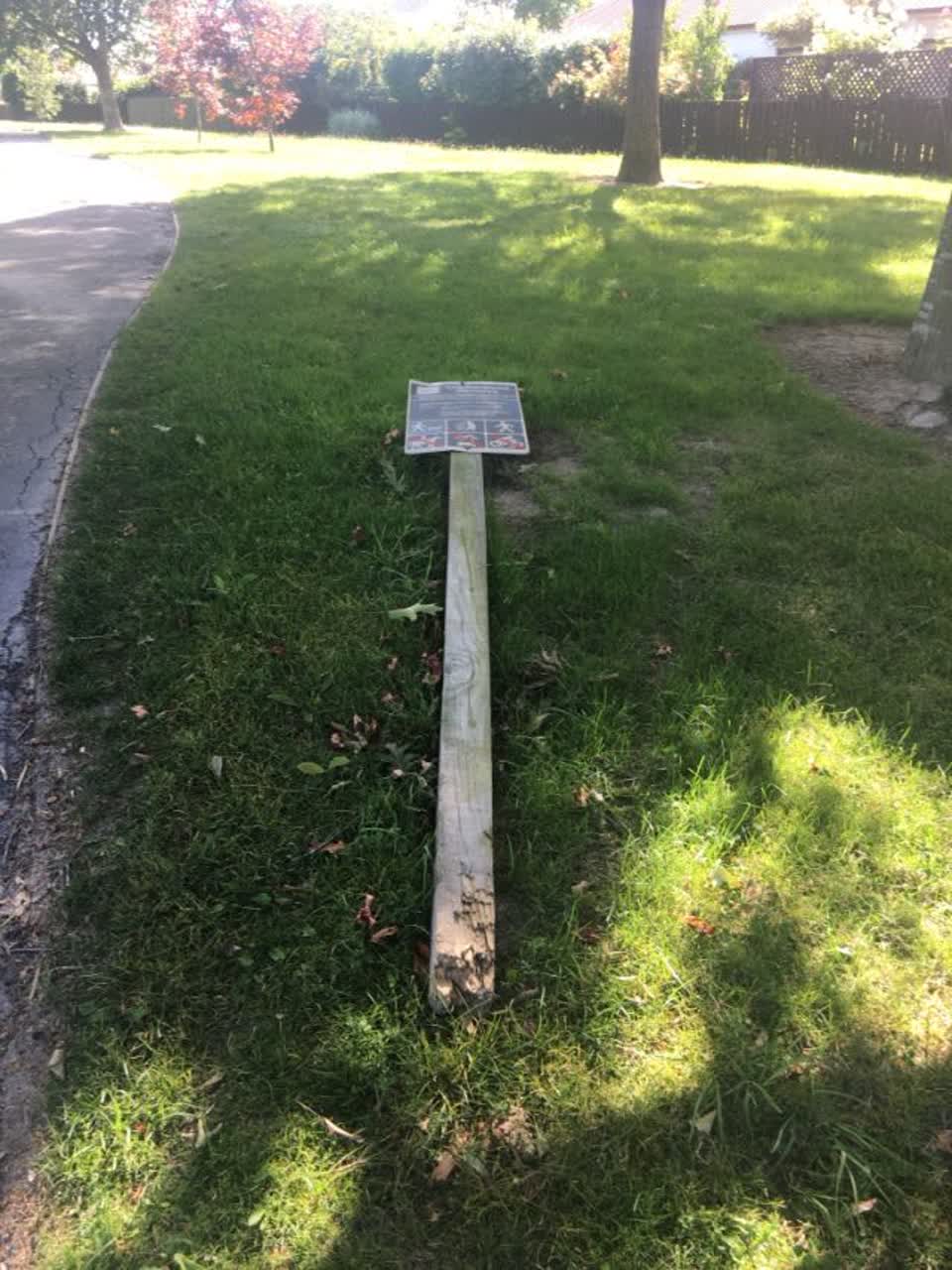 The photograph attached to this parks report