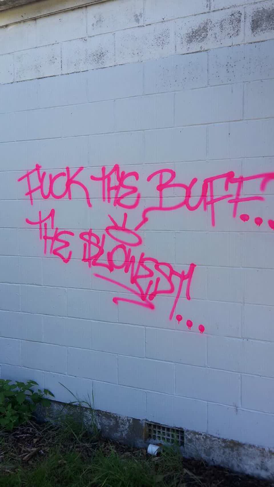 The photograph attached to this graffiti report