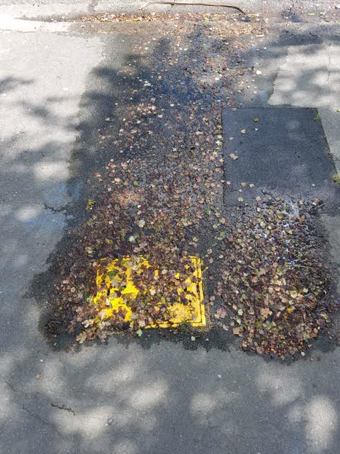 Wastewater/Stormwater, a report photo