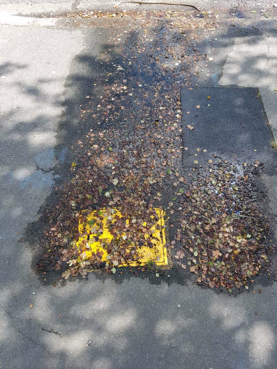 The photograph attached to this wastewater/stormwater report