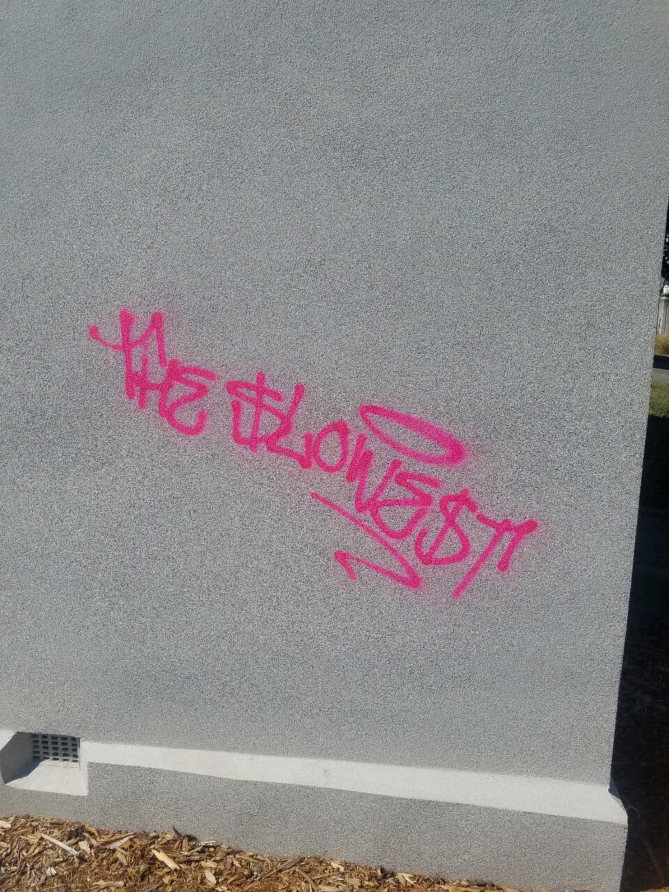 The photograph attached to this graffiti report