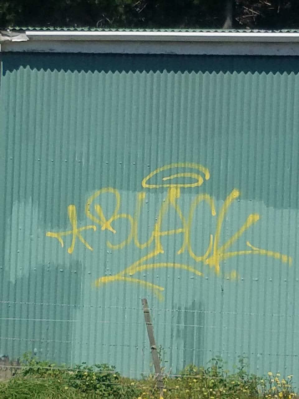 The photograph attached to this graffiti report