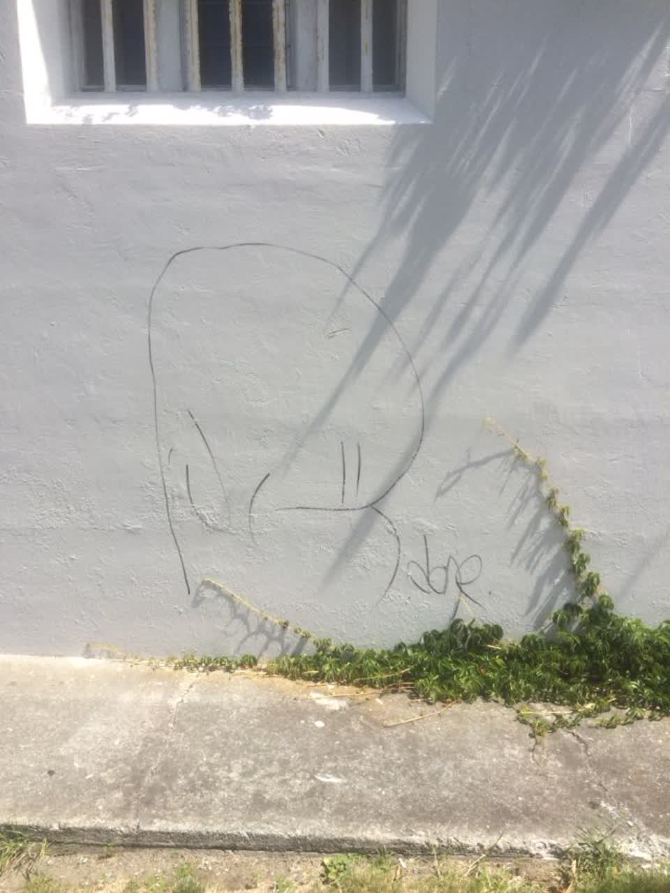 The photograph attached to this graffiti report