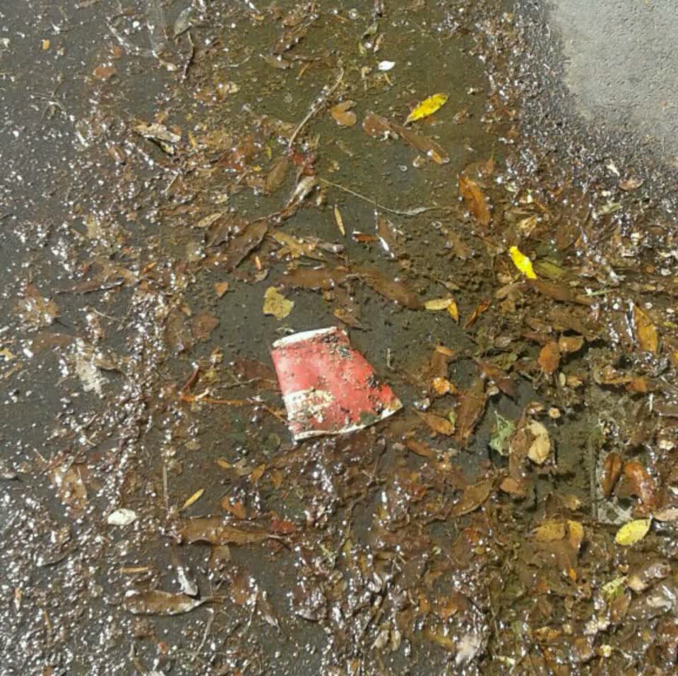 The photograph attached to this wastewater/stormwater report