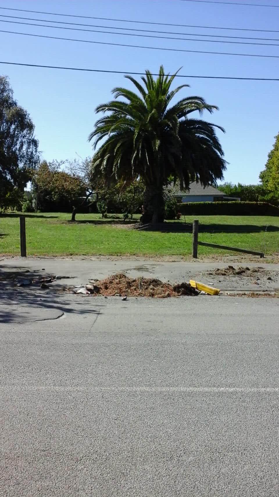 The photograph attached to this roading/streets report