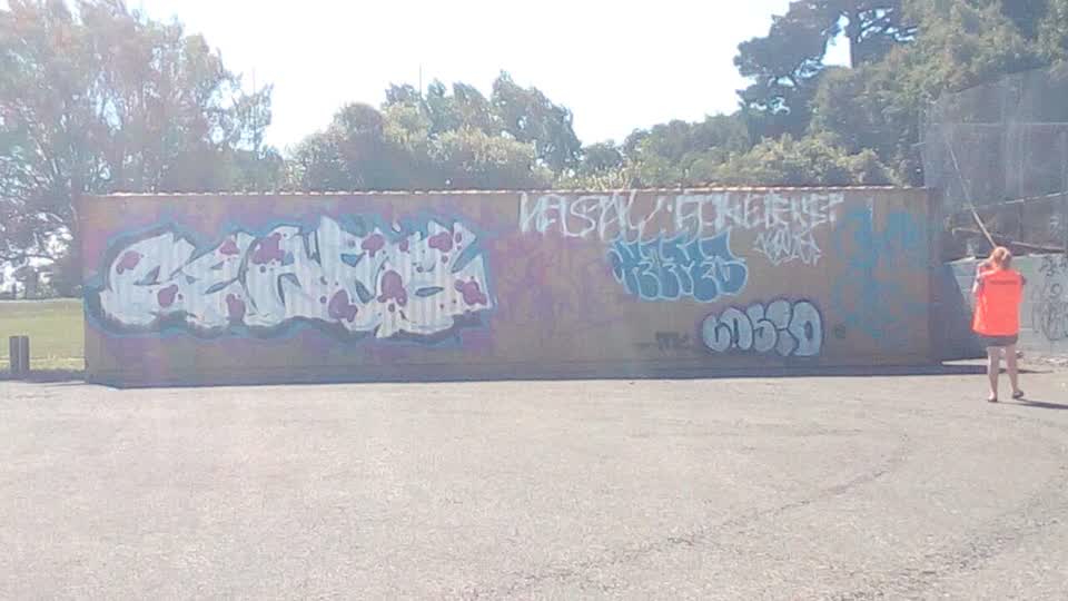 The photograph attached to this graffiti report