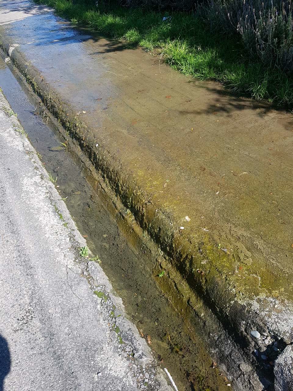 The photograph attached to this water supply report