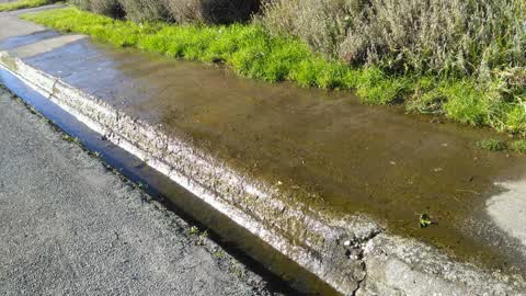 Water Supply, a report photo