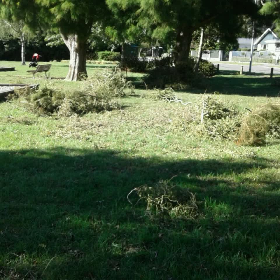 The photograph attached to this parks report