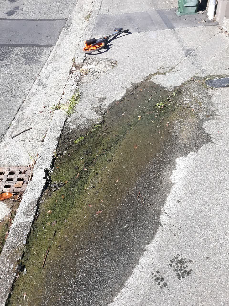 The photograph attached to this water supply report
