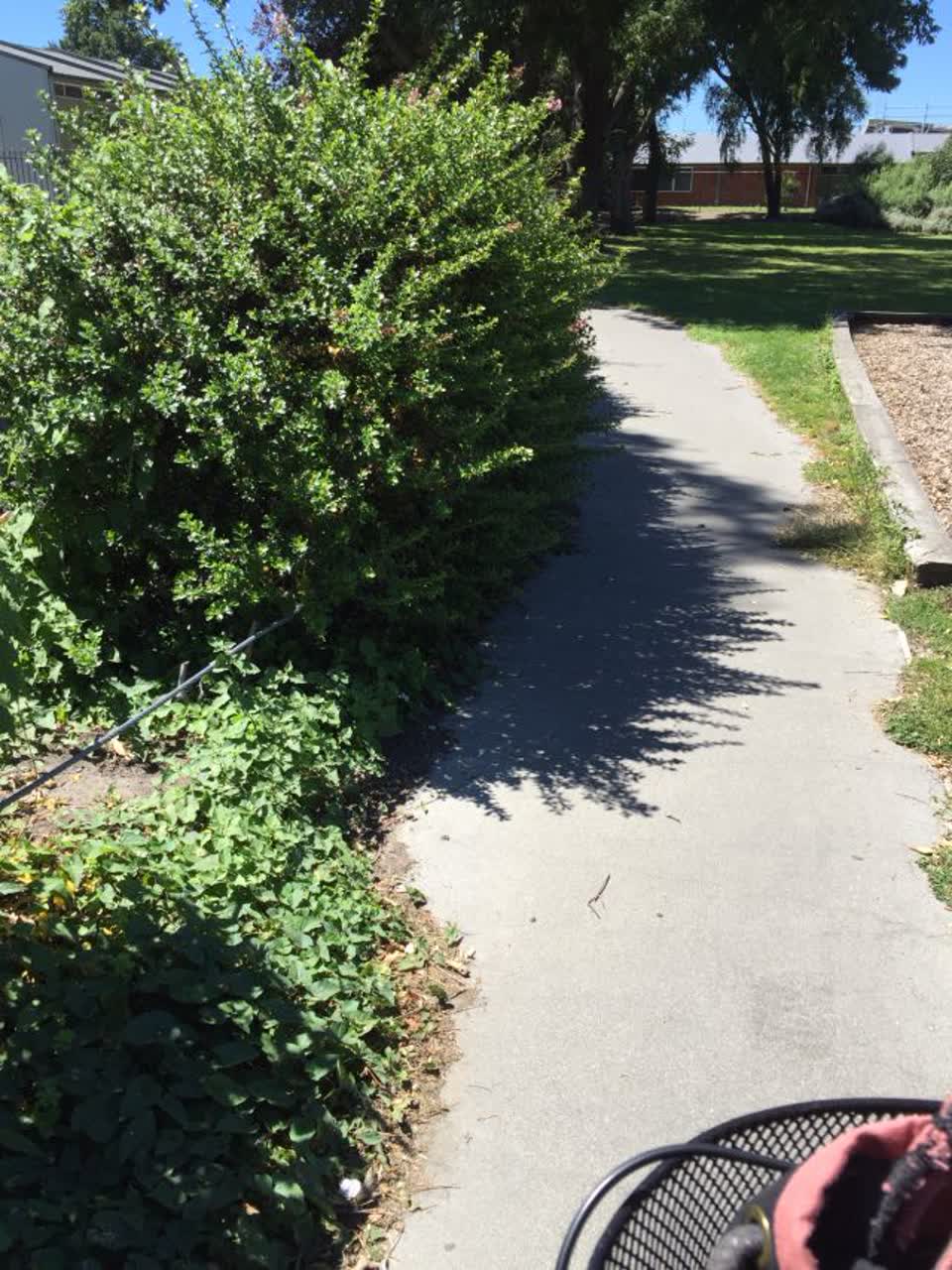 The photograph attached to this parks report