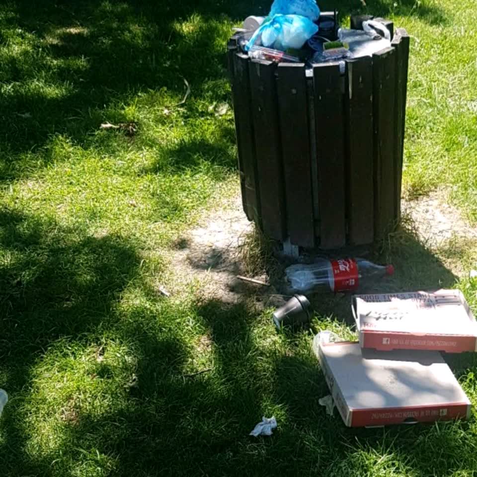 The photograph attached to this parks report