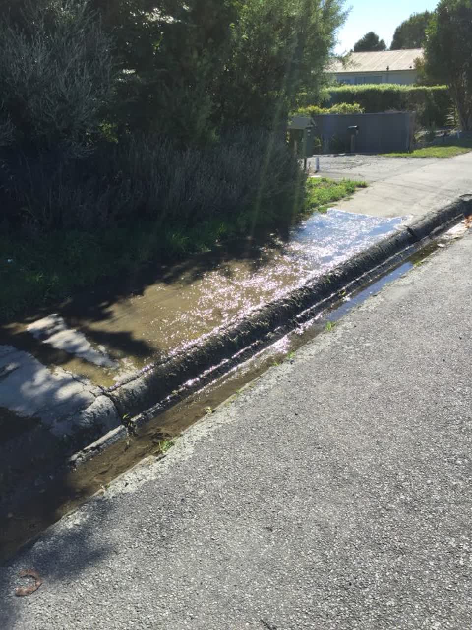 The photograph attached to this water supply report