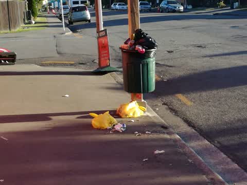 Rubbish/Recycling — a report photo