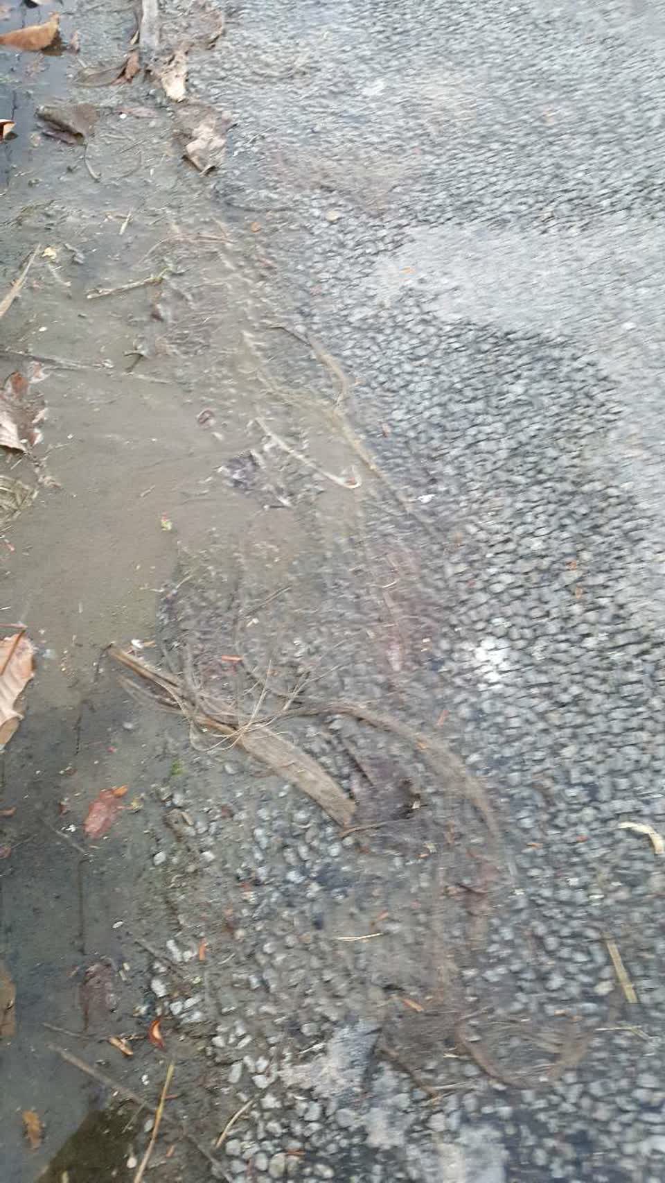 The photograph attached to this roading/streets report