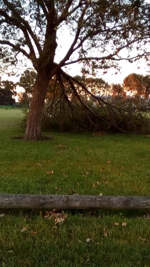 Parks, a report photo