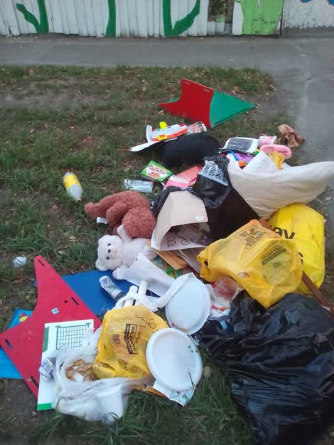 Rubbish/Recycling, a report photo