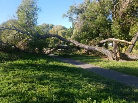 Parks, a report photo