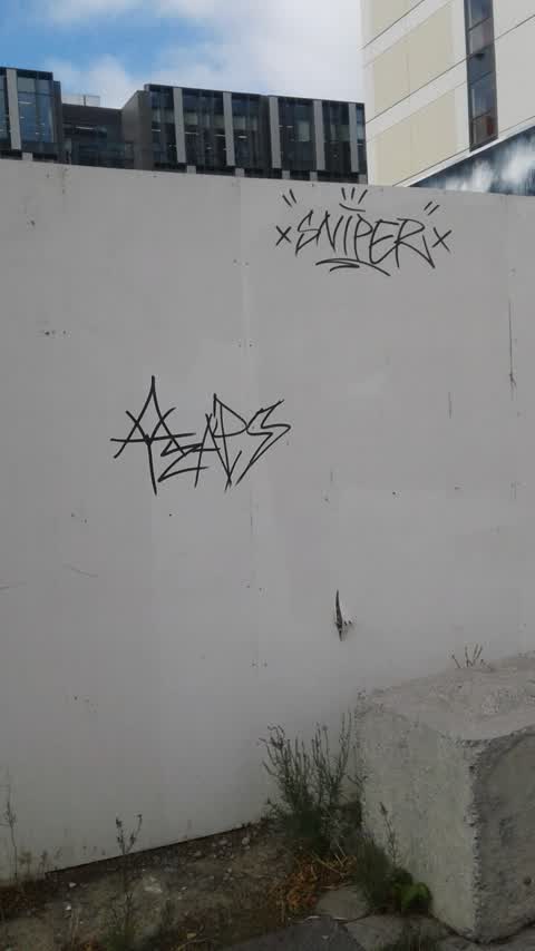 Graffiti, a report photo