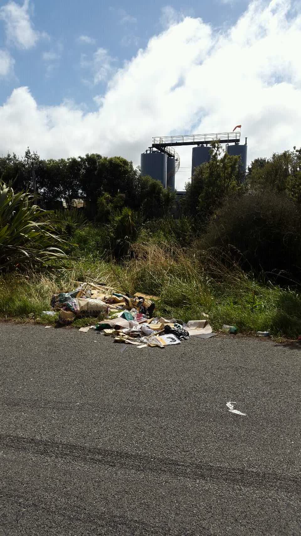 The photograph attached to this rubbish/recycling report