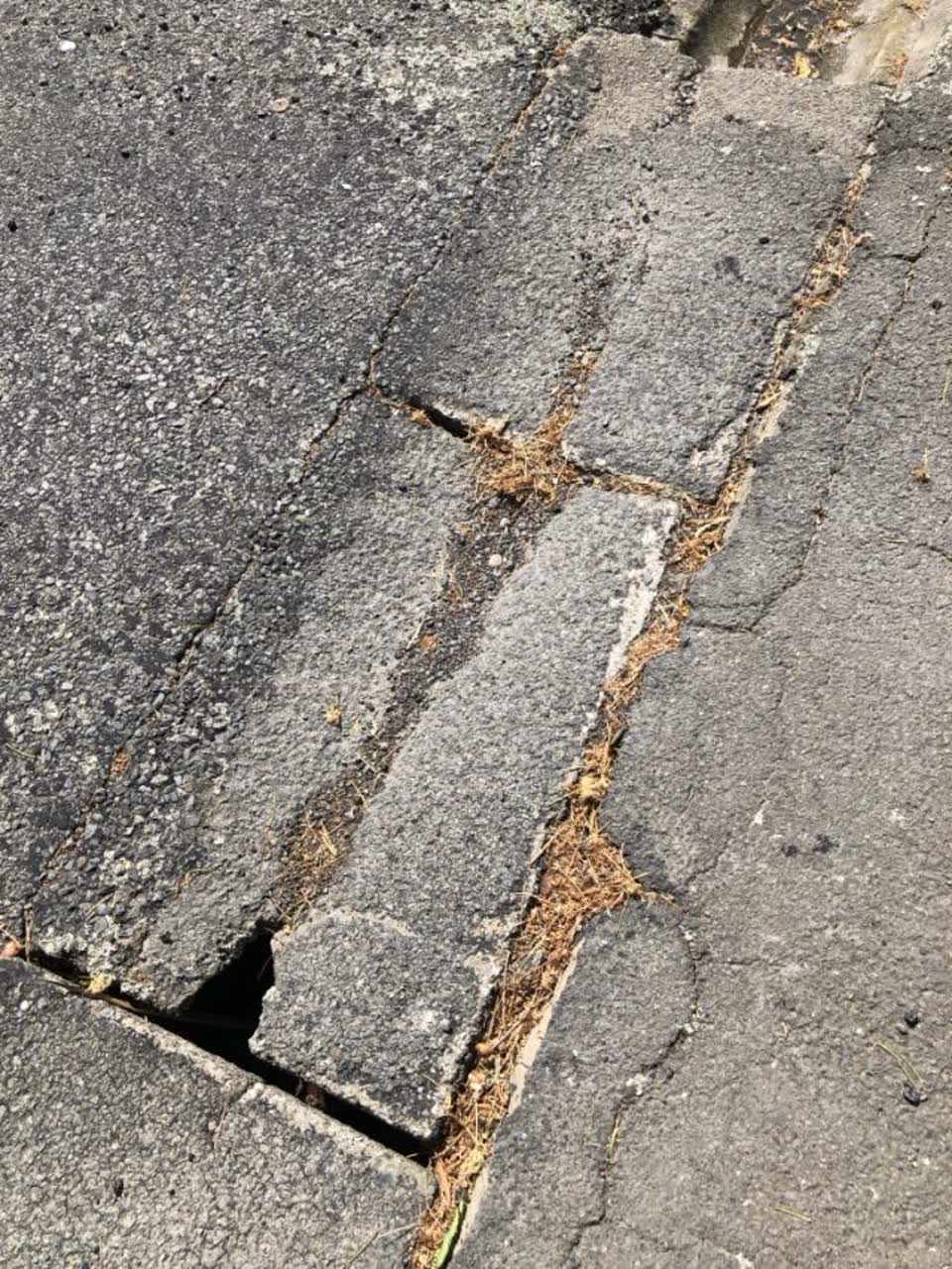 The photograph attached to this roading/streets report