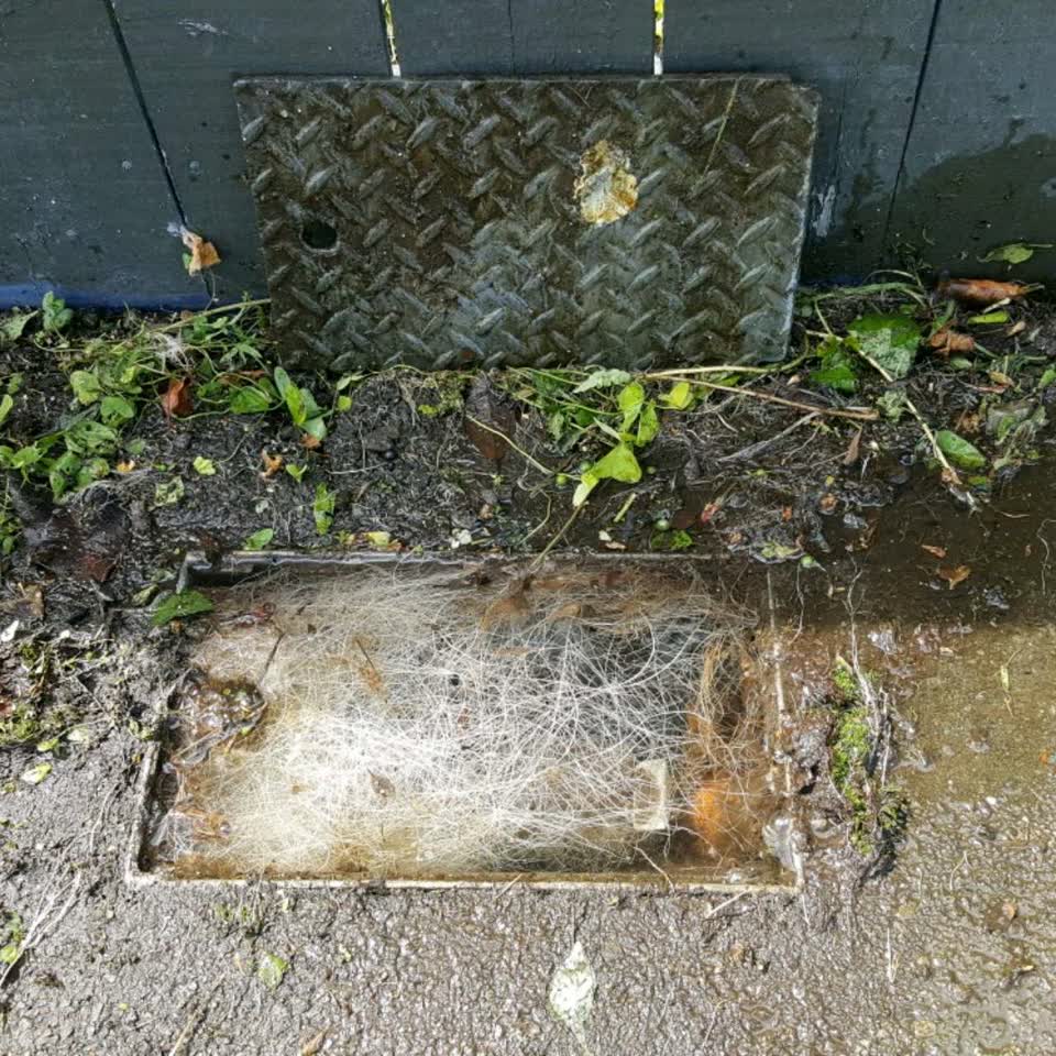 The photograph attached to this water supply report