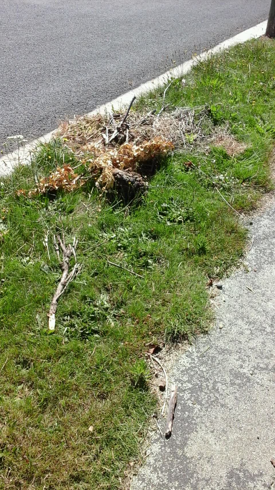 The photograph attached to this roading/streets report