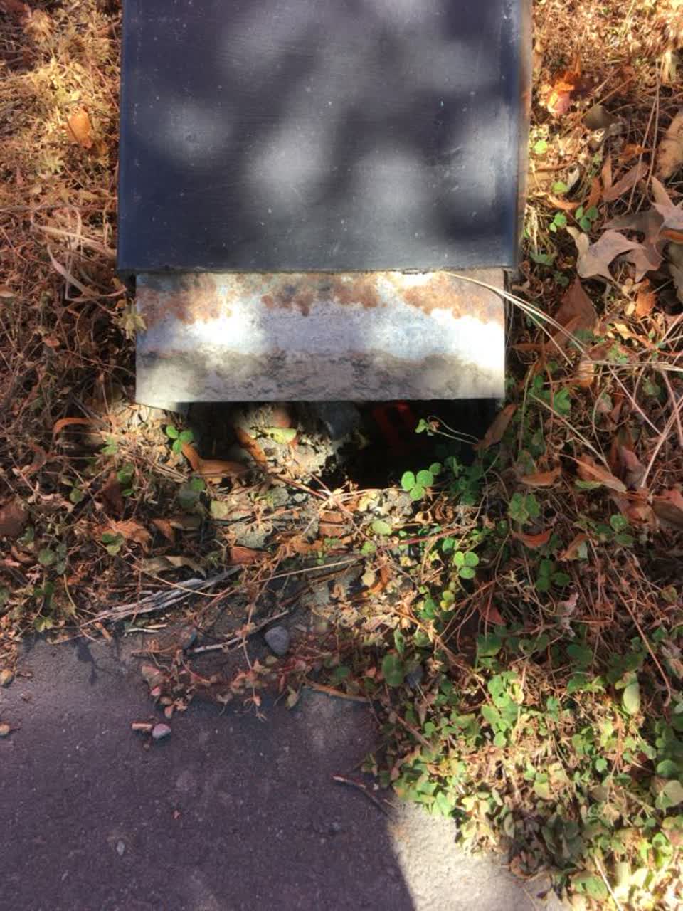 The photograph attached to this rubbish/recycling report