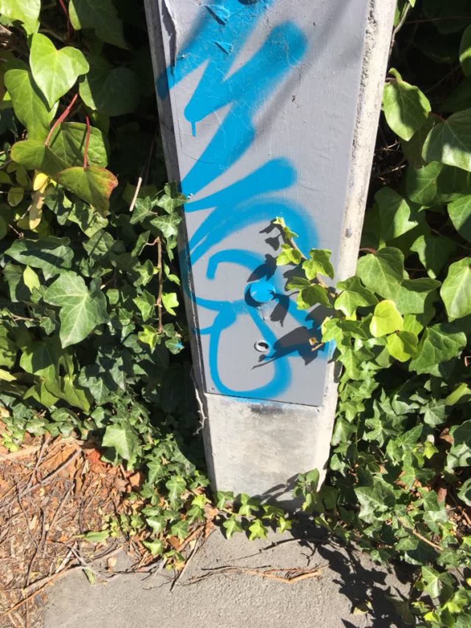 The photograph attached to this graffiti report