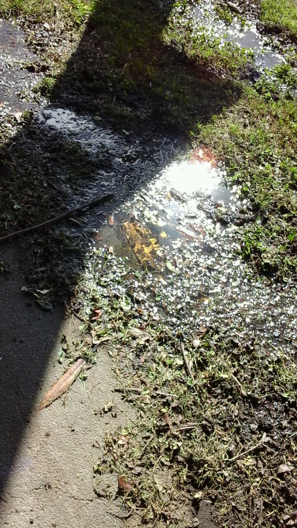The photograph attached to this water supply report
