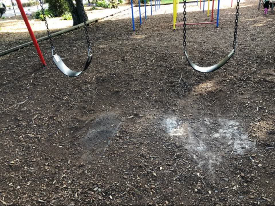 The photograph attached to this parks report